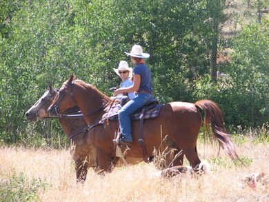 IMG_4660 (2)trail ride