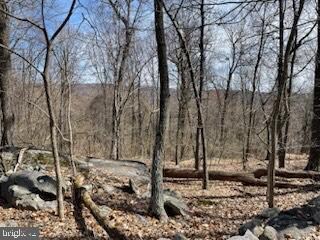 12629 Mountainhouse Ln, Hillsboro, VA 20132 - photo 2