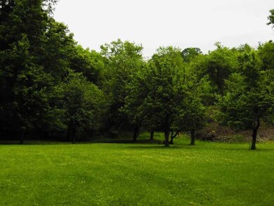 Land/Lot. Orchard with Mature Fruit Trees in Rear 