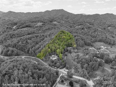 0000 Jacks Creek Rd, Burnsville, NC 28714 - photo 4