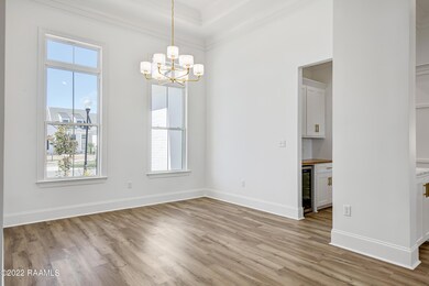 311 Canary Palm -7