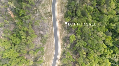 18 Fiji Way, Tuscaloosa, AL 35406 - photo 2