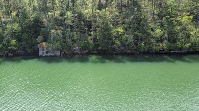 Lot 59 Sipsey Overlook Rd, Double Springs, AL 35553 - photo 6
