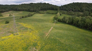 DJI_0239