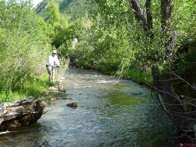0 Aster Ln unit 723523, Durango, CO 81301 - photo 5