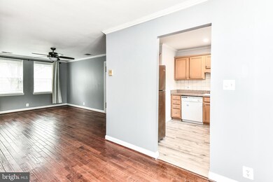 2960 S Columbus St unit C2, Arlington, VA 22206 - photo 7