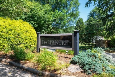 17 Braddock Way, Asheville, NC 28803 - photo 2