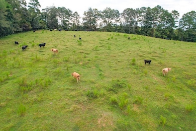 295 J Davis Rd unit LotWP001, Tallapoosa, GA 30176 - photo 2