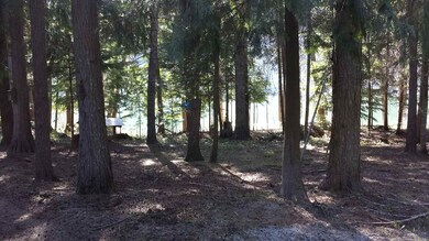 141 Shady Ln, Cusick, WA 99119 - photo 3