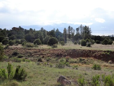 Property View (4)