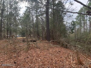 Nhn Cochran, Moss Point, MS 39562 - photo 7