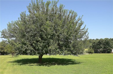 0 Harris Rd, Township 2, AR 72745 - photo 6