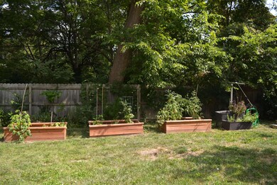 Raised Beds