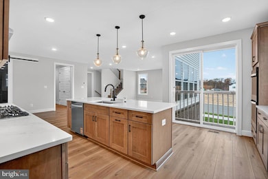 41800 Preston Falls Way, Ashburn, VA 20148 - photo 6