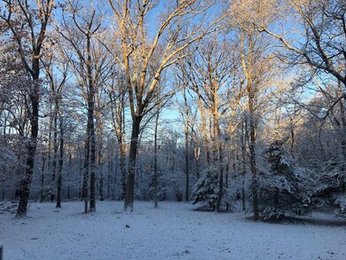 2 Bird Ln, Sharon, MA 02067 - photo 4