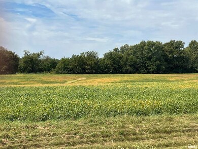 00 Wells Ferry Rd, Pleasant Valley, IA 52767 - photo 2