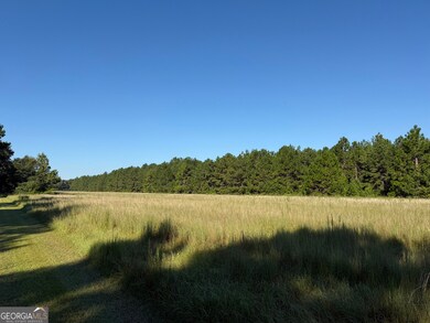 0 Sunbury Rd unit TRACT 4 10599355, Daisy, GA 30417 - photo 2
