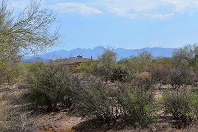 LOOKING EAST