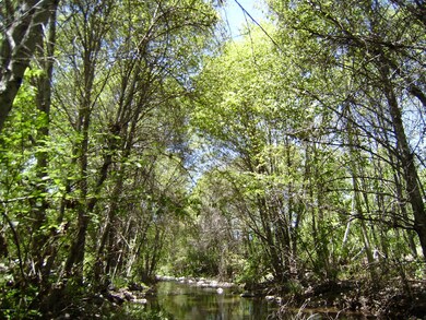 CREEK VIEW DRIVE 007