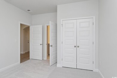 3105 Visionary Dr unit 817, Myrtle Beach, SC 29588 - photo 4