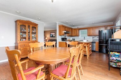 17384 Fairway Dr, Lagrange, OH 44050 - photo 7