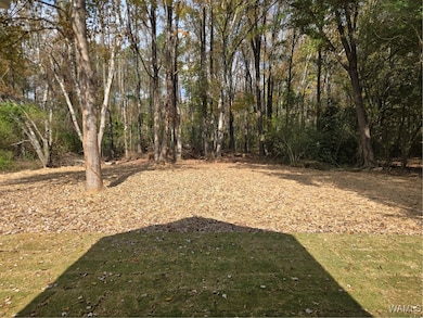 106 Raintree St, Moundville, AL 35474 - photo 5