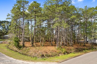 16-web-or-mls-CAMMediaLLC.com-0464