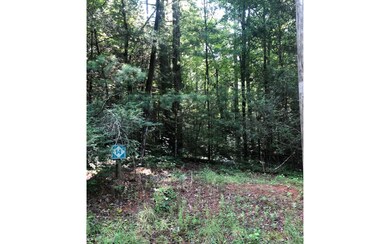 Additional View