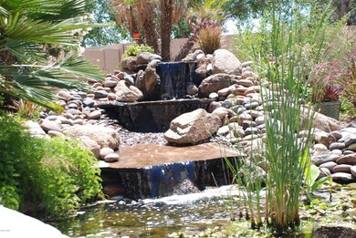 Water Feature