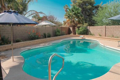 2630 W Ocaso Cir, Mesa, AZ 85202 - photo 2