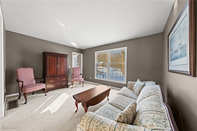 9201 Old Meadow Dr, Chagrin Falls, OH 44023 - photo 6