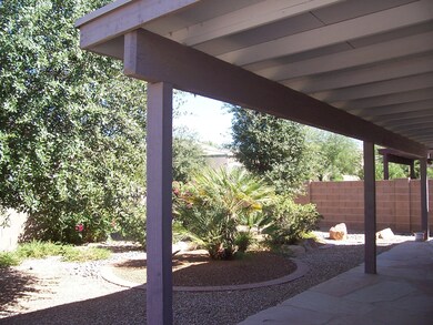 Back Patio
