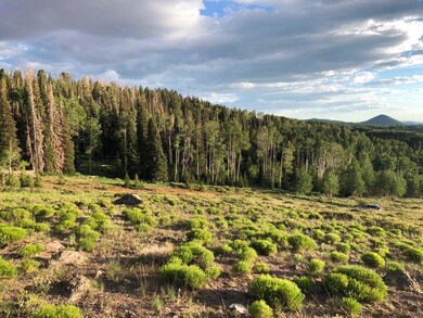1396 N Gurr Rd unit SVE unit-B blk-B lot, Brian Head, UT 84719 - photo 2
