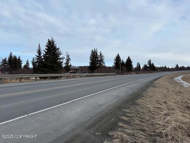 26220 Sterling Hwy, Anchor Point, AK 99556 - photo 6