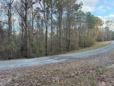 San Roc Rd, Grenada, MS 38901 - photo 2