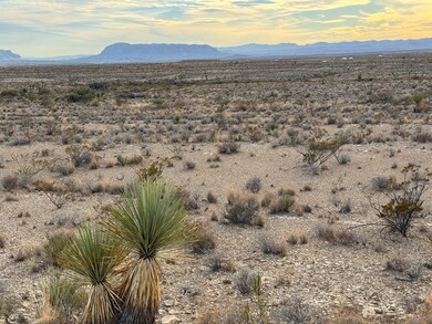 4838 Private Rd, Terlingua, TX 79852 - photo 2