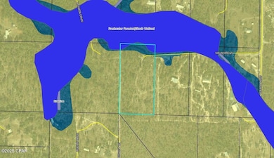 0 NW White Rd unit 781877, Altha, FL 32421 - photo 4