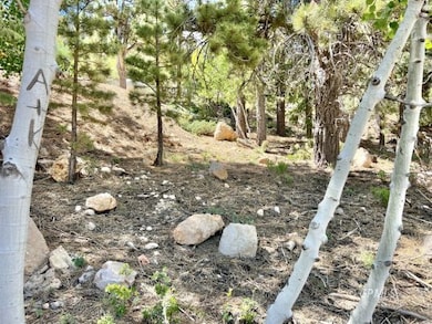 930 E Appaloosa Dr, Duck Creek Village, UT 84762 - photo 3