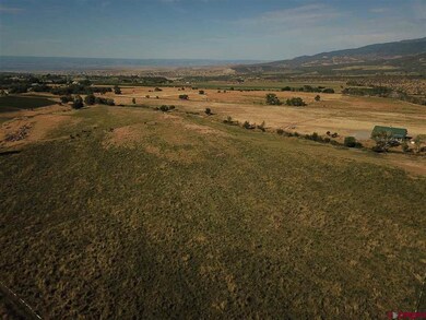 22690 Sweet Clover Rd, Cedaredge, CO 81413 - photo 5