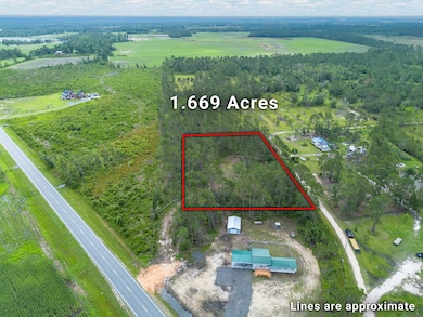 00 Willacoochee Hwy, Willacoochee, GA 31750 - photo 2