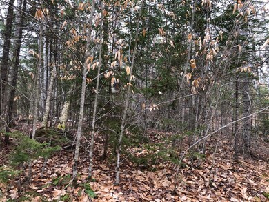 trees
