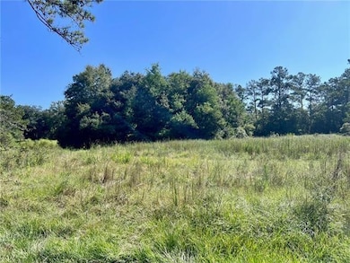 Parcel E Peters Rd, Madisonville, LA 70447 - photo 3