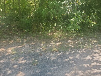 0 Netherton Ln, Bella Vista, AR 72715 - photo 2