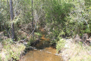 4.35 AC-DD Pine Ln, Crestview, FL 32536 - photo 7