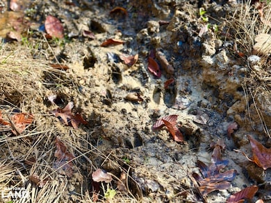 0 Highway 69 unit 25684021, Jackson, AL 36524 - photo 7