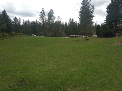 20428 N Little Spokane Dr, Colbert, WA 99005 - photo 5