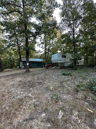 TDB Upper Janes Creek Raod, Ravenden, AR 72459 - photo 6