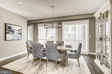 1800 Yellow Garnet Terrace SE, Leesburg, VA 20175 - photo 5