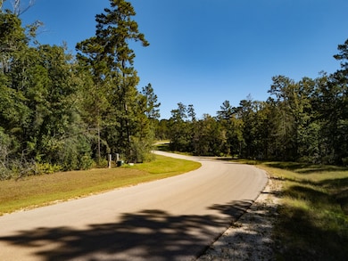 186 Exploration Rd, New Waverly, TX 77358 - photo 4