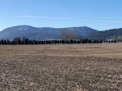 XXX 5th St E, Chewelah, WA 99109 - photo 5